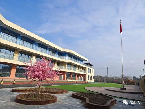 来了 盐城又一批新学校实景图曝光,即将投入使用