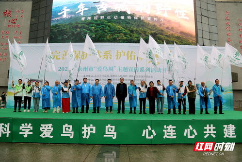 永州爱鸟周 凝聚社会力量,构建候鸟保护长效工作机制